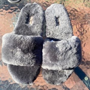 Brand new slides!